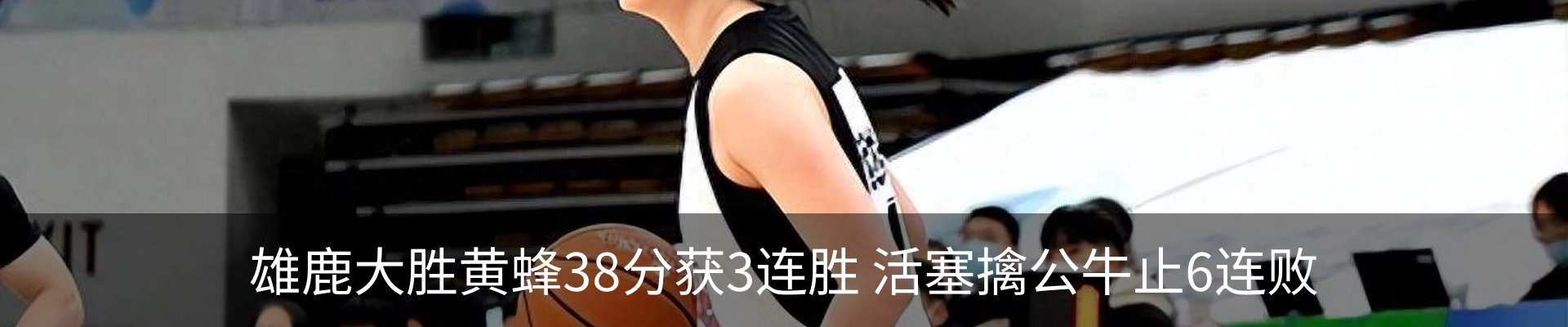 最新动态